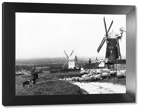 Brighton - Clayton Windmills Jack and Jill