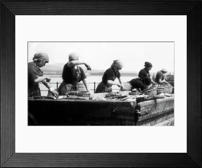 Framed Print : Port St Mary Gutting Herring Isle of Man Framed Print : Port St Mary Gutting Herring Isle of Man