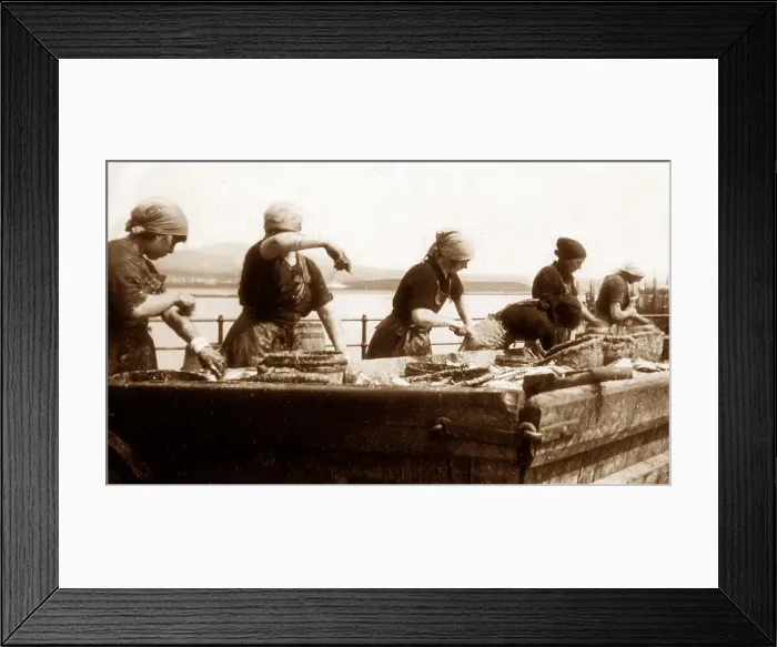 Framed Print : Port St Mary Gutting Herring Isle of Man Framed Print : Port St Mary Gutting Herring Isle of Man