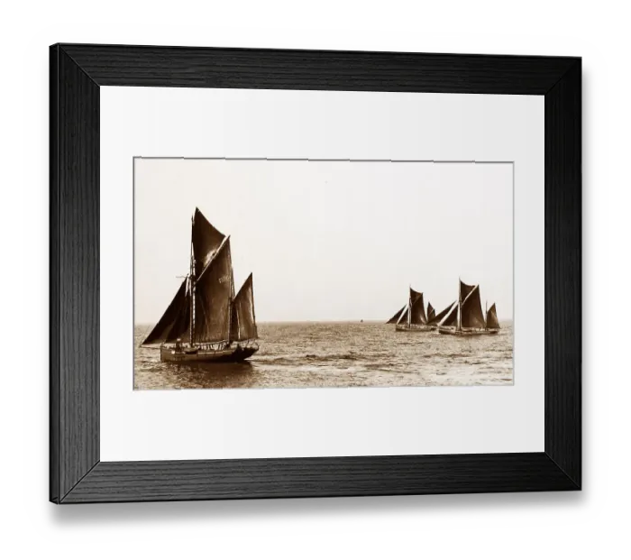 Framed Print : Brixham trawlers Framed Print : Brixham trawlers