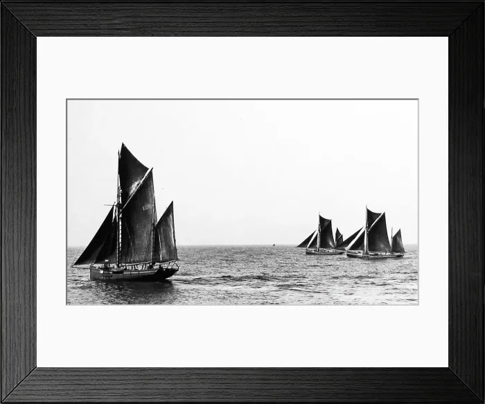 Framed Print : Brixham trawlers Framed Print : Brixham trawlers