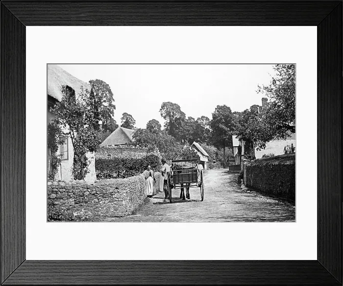 Framed Print : Stokeinteignhead Framed Print : Stokeinteignhead