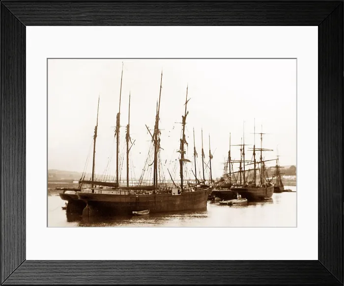 Framed Print : Shaldon near Teignmouth Framed Print : Shaldon near Teignmouth