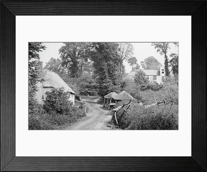 Framed Print : Higher Gabwell near Stokeinteignhead Framed Print : Higher Gabwell near Stokeinteignhead