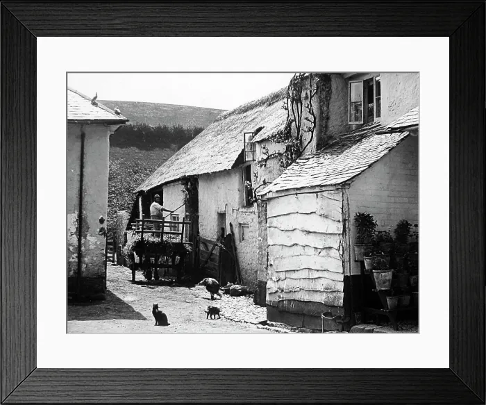 Framed Print : Combeinteignhead devon Framed Print : Combeinteignhead devon