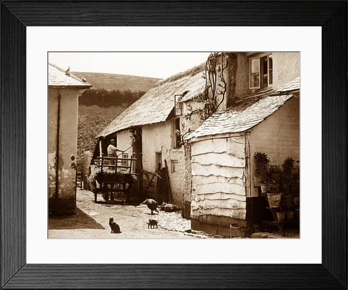 Framed Print : Combeinteignhead devon Framed Print : Combeinteignhead devon
