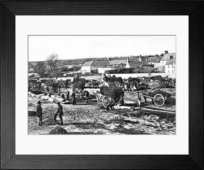 Framed Print : Le Hocq seaweed gathering, Jersey Framed Print : Le Hocq seaweed gathering, Jersey