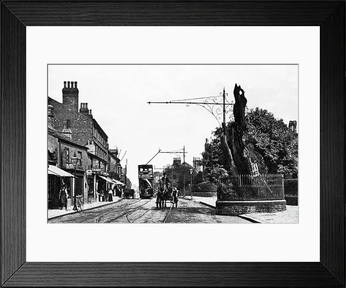 Framed Print : Headingley Oak Leeds Framed Print : Headingley Oak Leeds