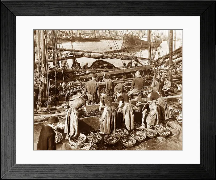 Framed Print : Fishing Scarborough Framed Print : Fishing Scarborough