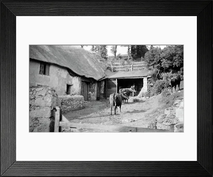 Framed Print : Babbacombe Eller farm near torquay Framed Print : Babbacombe Eller farm near torquay