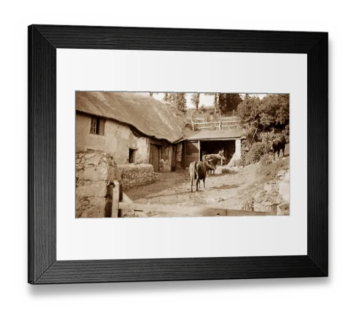 Framed Print : Babbacombe Eller farm near torquay Framed Print : Babbacombe Eller farm near torquay
