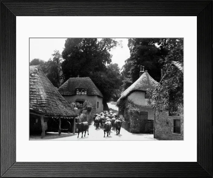 Framed Print : Cockington Forge Framed Print : Cockington Forge