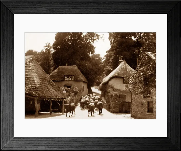 Framed Print : Cockington Forge Framed Print : Cockington Forge