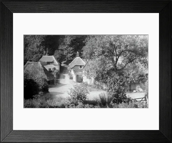 Framed Print : Cockington Framed Print : Cockington