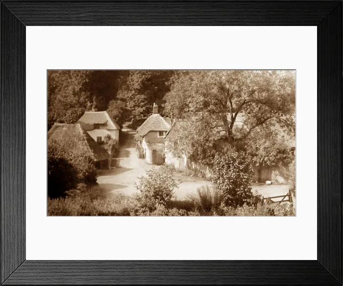 Framed Print : Cockington Framed Print : Cockington