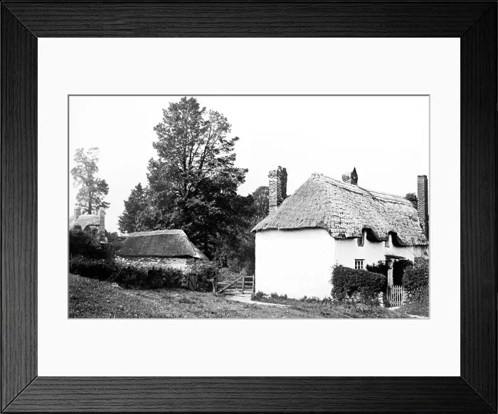 Framed Print : Shiphay near Torquay Framed Print : Shiphay near Torquay
