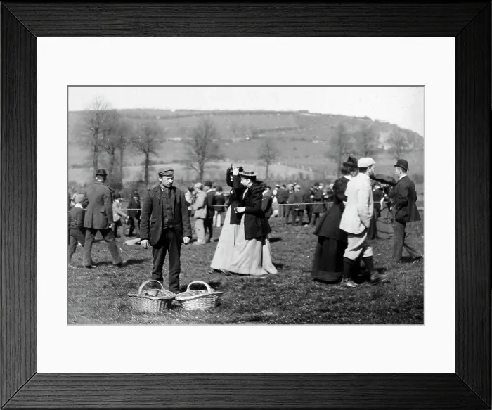 Framed Print : Torquay races horse racing Framed Print : Torquay races horse racing