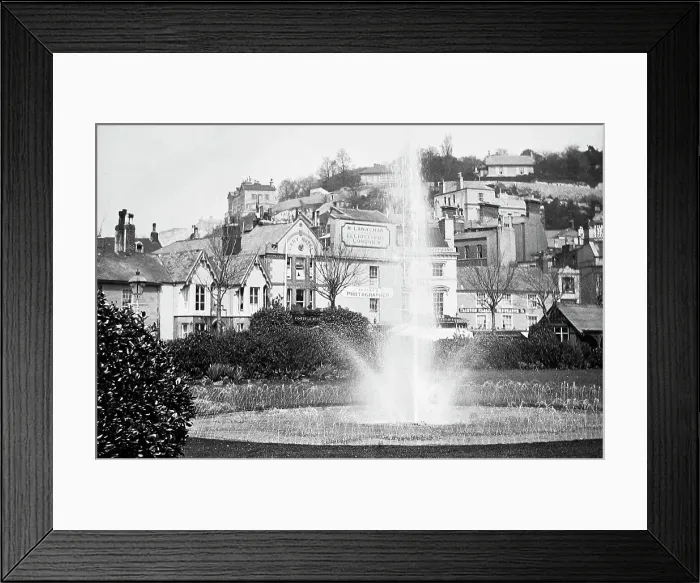 Framed Print : Torquay gardens