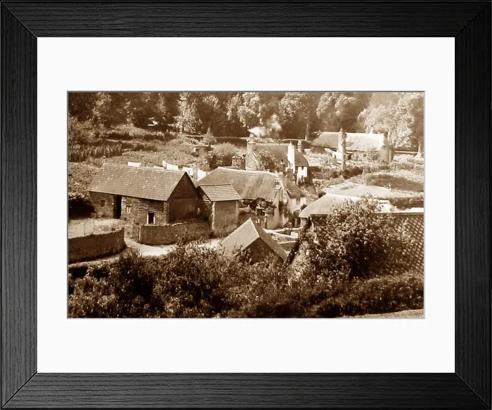 Framed Print : Dartington Framed Print : Dartington