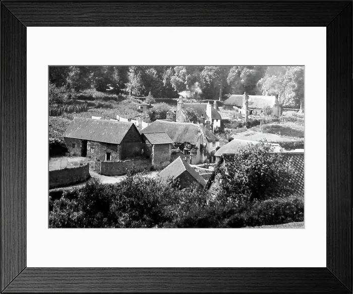 Framed Print : Dartington Framed Print : Dartington