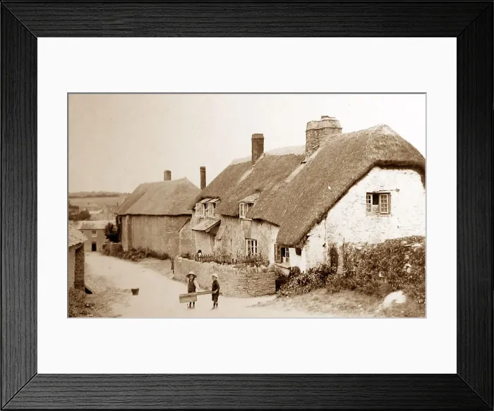 Framed Print : Dartington Framed Print : Dartington
