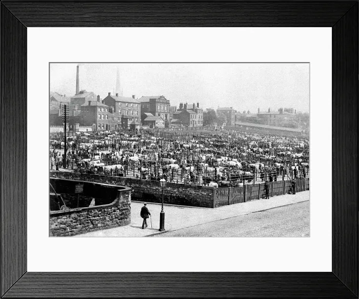 Framed Print : Wakefield - Cattle Market Framed Print : Wakefield - Cattle Market