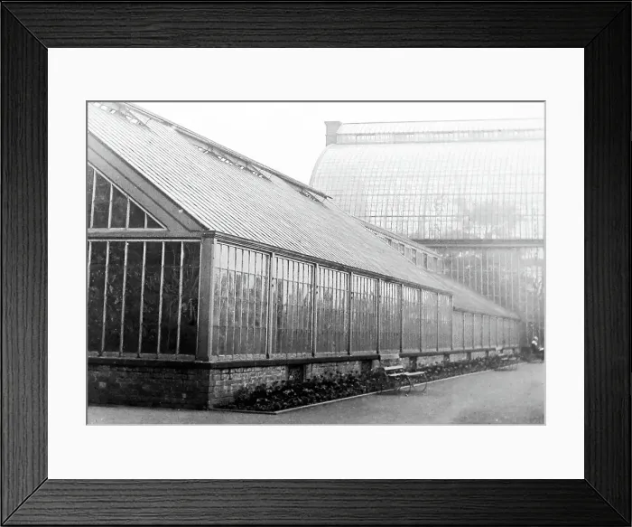 Framed Print : Botanic Gardens Liverpool early 1900s Framed Print : Botanic Gardens Liverpool early 1900s