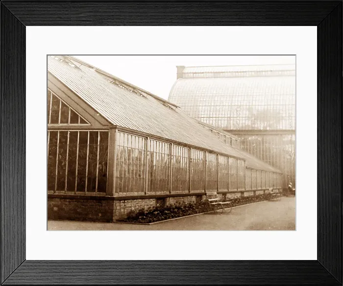 Framed Print : Botanic Gardens Liverpool early 1900s Framed Print : Botanic Gardens Liverpool early 1900s