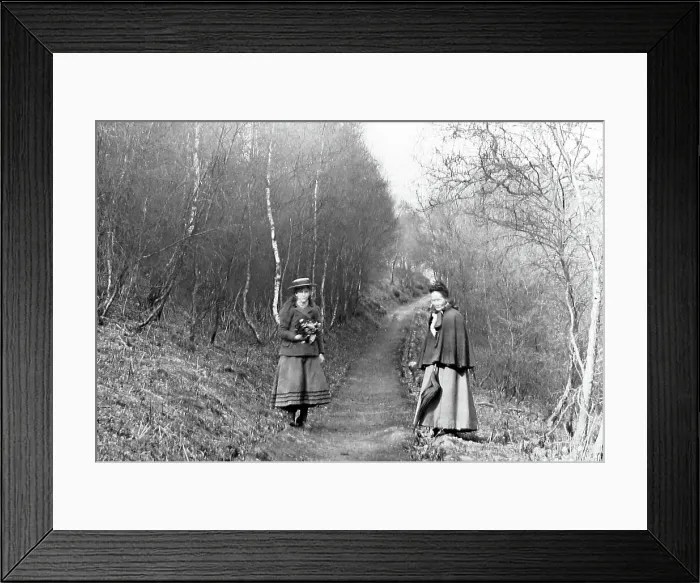 Framed Print : Lovers Walk, Cannock Chase, Victorian period Framed Print : Lovers Walk, Cannock Chase, Victorian period