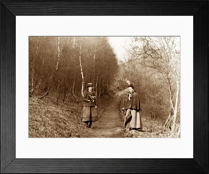 Framed Print : Lovers Walk, Cannock Chase, Victorian period Framed Print : Lovers Walk, Cannock Chase, Victorian period