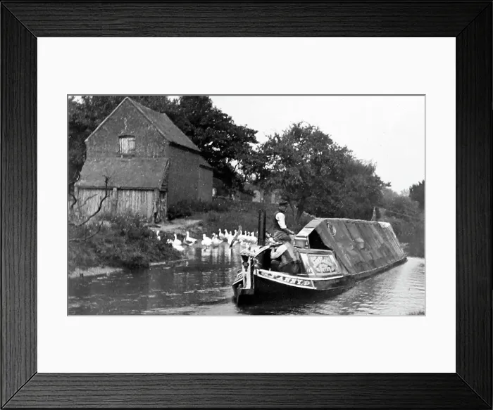 Framed Print : Working narrow boat at Colwich, early 1900s Framed Print : Working narrow boat at Colwich, early 1900s