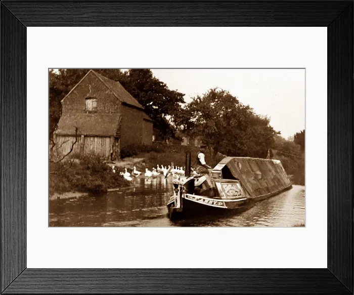 Framed Print : Working narrow boat at Colwich, early 1900s Framed Print : Working narrow boat at Colwich, early 1900s