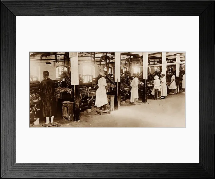 Framed Print : Processing tobacco at a plantation in Virginia, USA Framed Print : Processing tobacco at a plantation in Virginia, USA