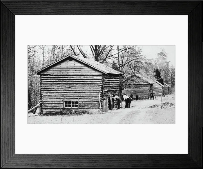 Framed Print : Curing barns at a tobacco plantation, Virginia, USA Framed Print : Curing barns at a tobacco plantation, Virginia, USA