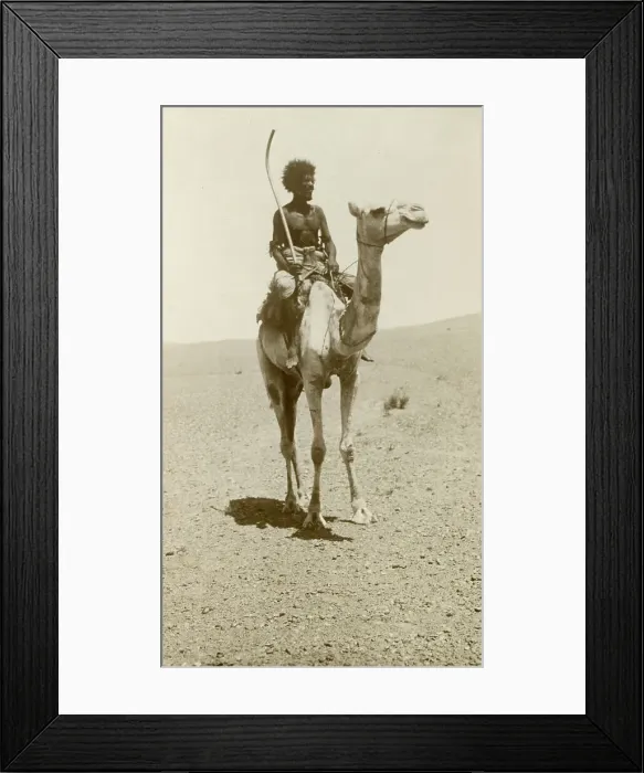 Framed Print : A nomad riding a camel in the desert Framed Print : A nomad riding a camel in the desert