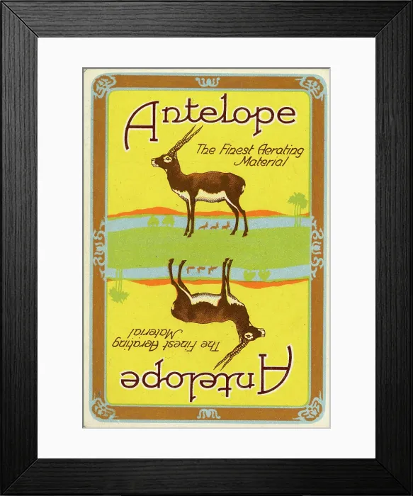 Framed Print : Antelope, the finest Aerating Material Framed Print : Antelope, the finest Aerating Material