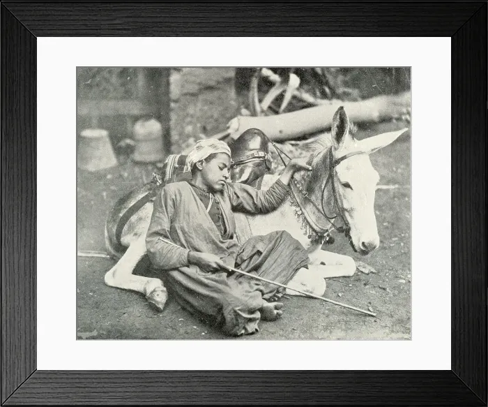 Framed Print : Arab boy resting with his donkey Framed Print : Arab boy resting with his donkey