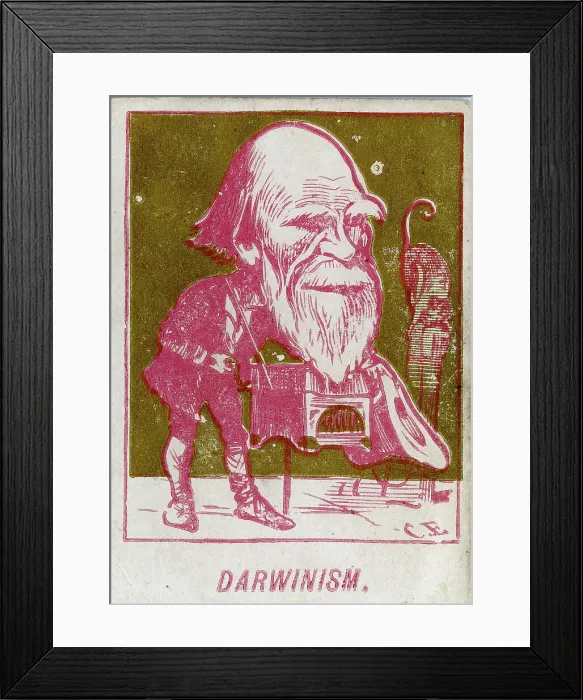 Framed Print : Charles Darwin humorous caricature, Darwinism Framed Print : Charles Darwin humorous caricature, Darwinism