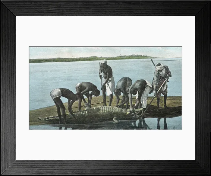 Framed Print : Crocodile Hunt on the River Nile, Sudan Framed Print : Crocodile Hunt on the River Nile, Sudan