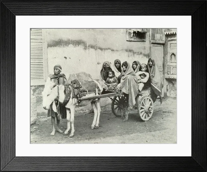 Framed Print : Family Conveyance in Cairo, Egypt Framed Print : Family Conveyance in Cairo, Egypt