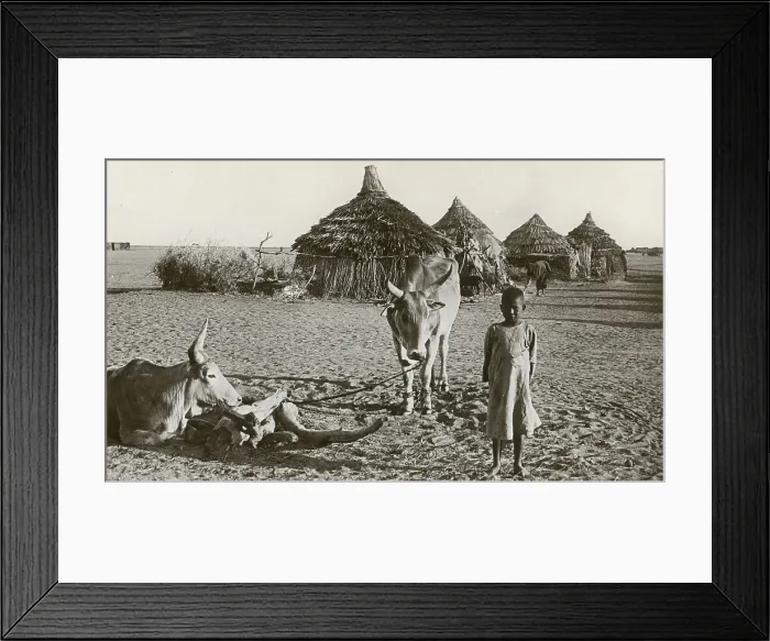 Framed Print : Native Life in Duem or Ed Dueim on the White Nile, Sudan Framed Print : Native Life in Duem or Ed Dueim on the White Nile, Sudan