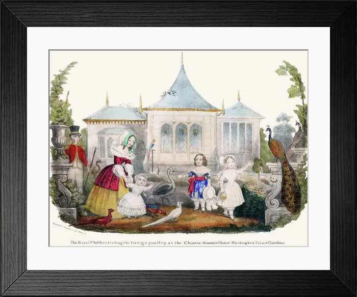 Framed Print : Queen Victoria, Prince Albert and children feeding poultry Framed Print : Queen Victoria, Prince Albert and children feeding poultry