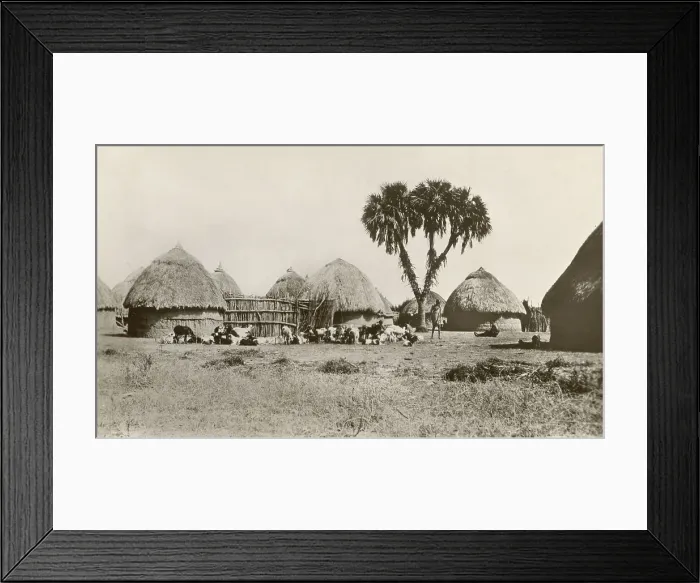 Framed Print : Shullucks Village of the Upper Nile, Sudan Framed Print : Shullucks Village of the Upper Nile, Sudan
