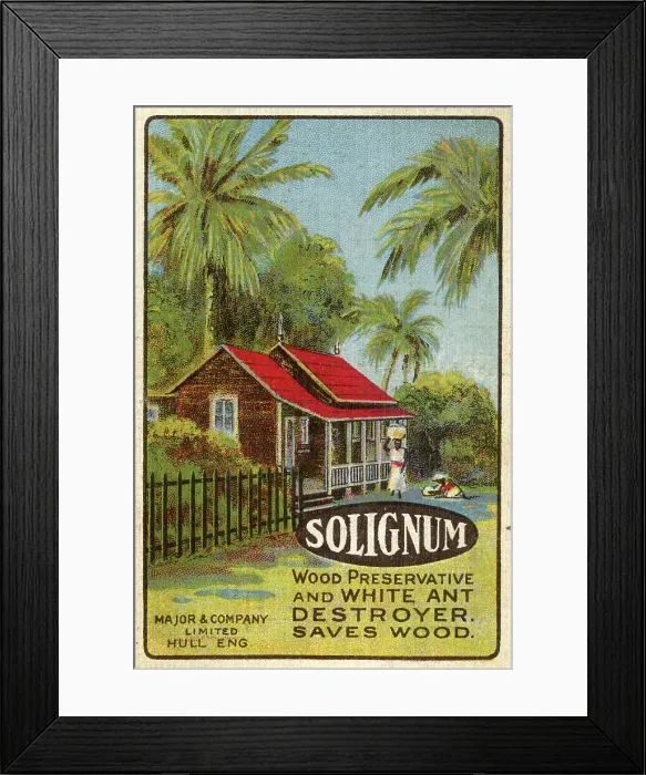 Framed Print : Solignum Wood Preservative and White Ant Destroyer Framed Print : Solignum Wood Preservative and White Ant Destroyer