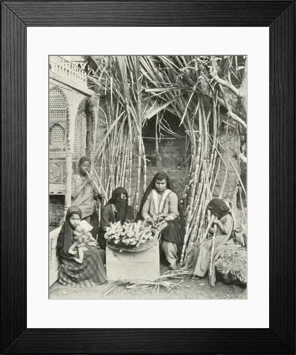 Framed Print : Sugarcane Sellers, Cairo, Egypt Framed Print : Sugarcane Sellers, Cairo, Egypt