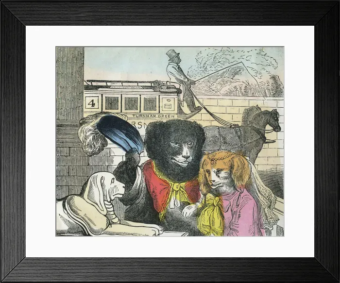 Framed Print : The Dogs Dinner Party Framed Print : The Dogs Dinner Party