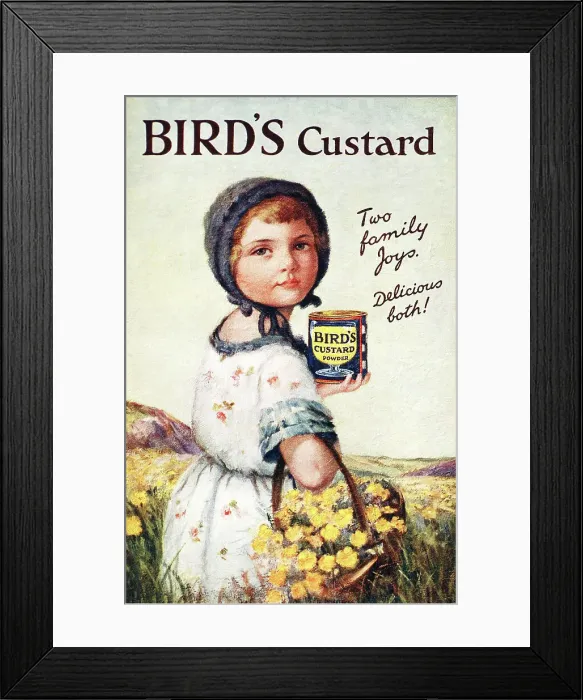 Framed Print : Bird's Custard Framed Print : Bird's Custard