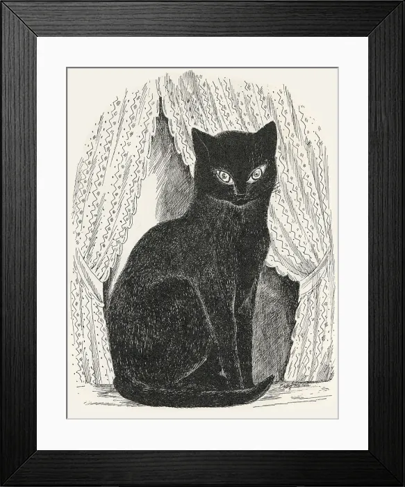 Framed Print : Black Cat - Black cat seated. Artist: Anon. Date: 1927 Framed Print : Black Cat - Black cat seated. Artist: Anon. Date: 1927
