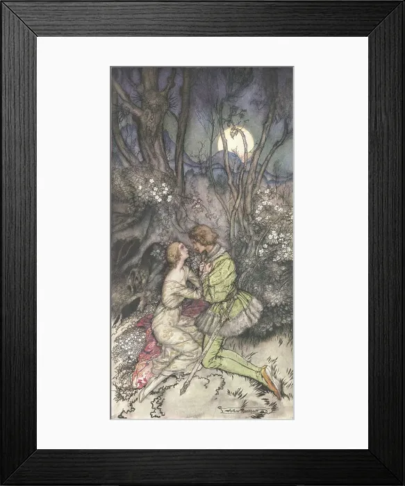 Framed Print : Sleeping Beauty Framed Print : Sleeping Beauty