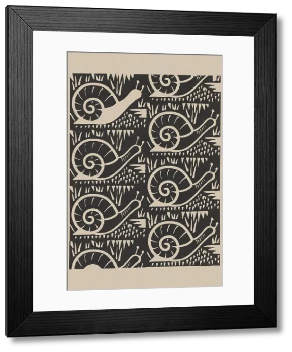 Framed Print : Snail Pattern Framed Print : Snail Pattern